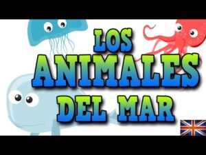 Download video Animales del mar en inglés / Inglés para niñas y niños with Mr. Pea - Spanish